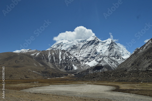 The Great Himalayans