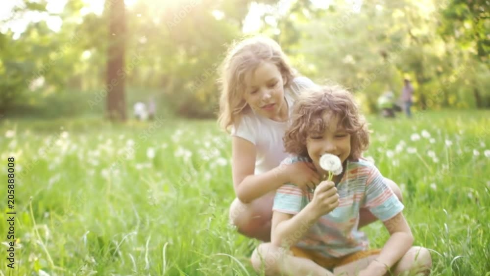 Cheerful schoolboys, the boy and the girl, play on a summer glade. They embrace, blow at dandelions and laugh happily. Dynamic video Cheerful schoolboys, the boy and the girl, play on a summer glade. They embrace, blow at dandelions and laugh happily. Dynamic video