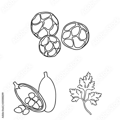 Herb and spices outline icons in set collection for design.Different kinds of seasonings vector symbol stock web illustration.