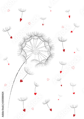 Fototapeta Naklejka Na Ścianę i Meble -  dandelion flower red seeds in a heart shape flyingin the air isolated on the white background vertical, vector illustration