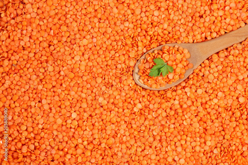 Raw, dehulled red lentil background with wooden spoon and parsley leaf photo