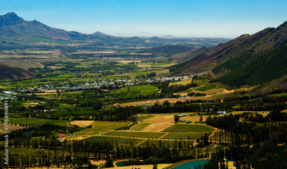 Wine farms, Western Cape, South Africa