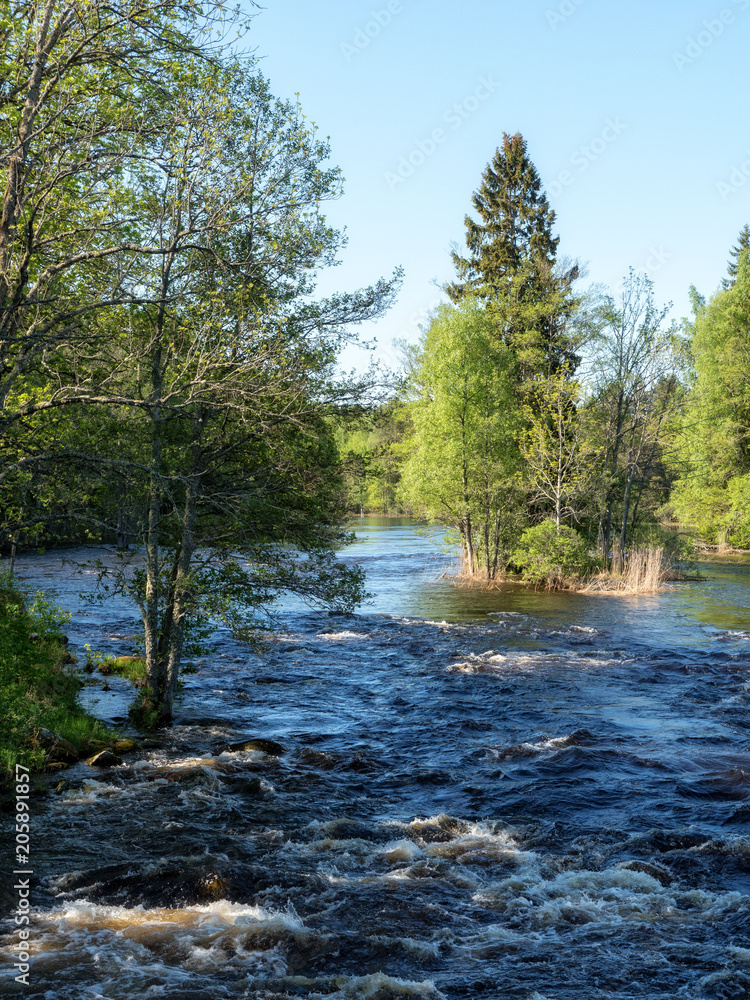 Swedish river and natural salmon area in spring.
Farnebofjarden national park in Sweden.