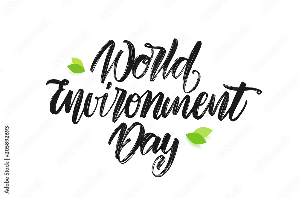 Vector illustration: Handwritten type lettering composition of World Environment Day on white background.