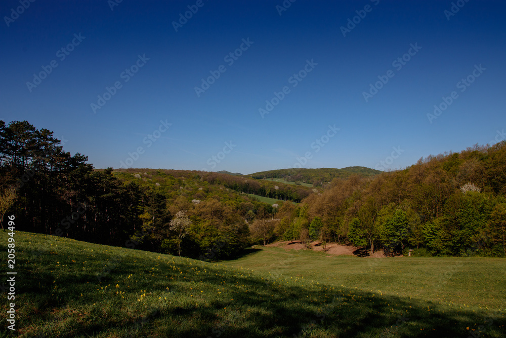 Fototapeta premium hill landscape in spring with various shades of green
