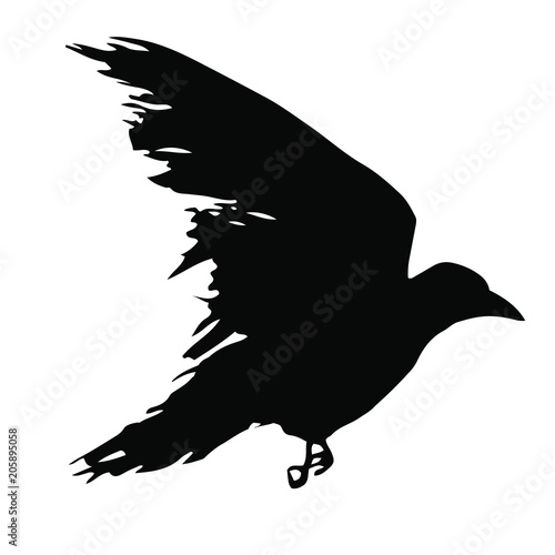 Black silhouette of a raven isolated on white background. Flying crow symbol. Tattoo bird. Vector illustration