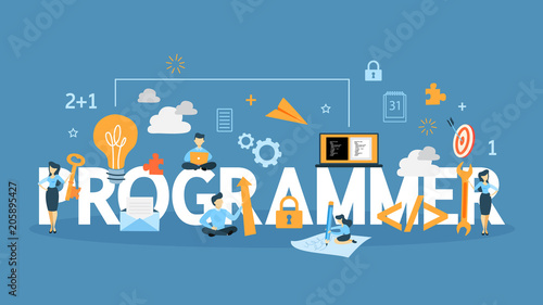 Programmer concept illustration.