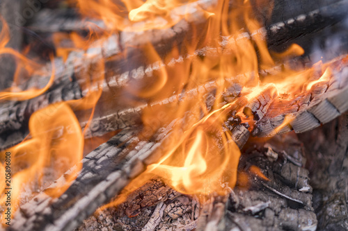 burning firewood. red yellow fire in the fireplace close-up. flames. Fire background. selected focus