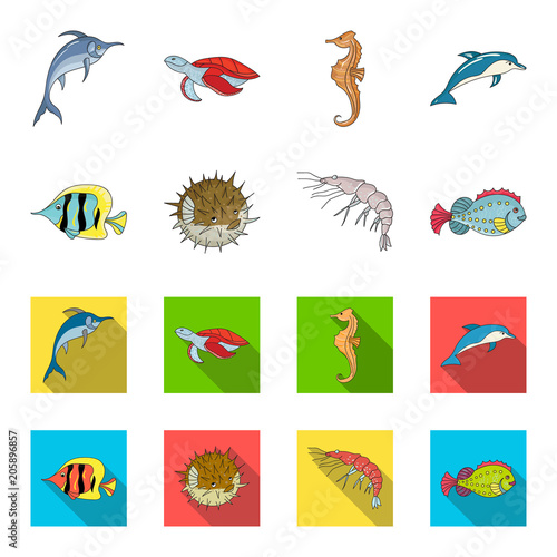 Shrimp, fish, hedgehog and other species.Sea animals set collection icons in cartoon,flat style vector symbol stock illustration web.