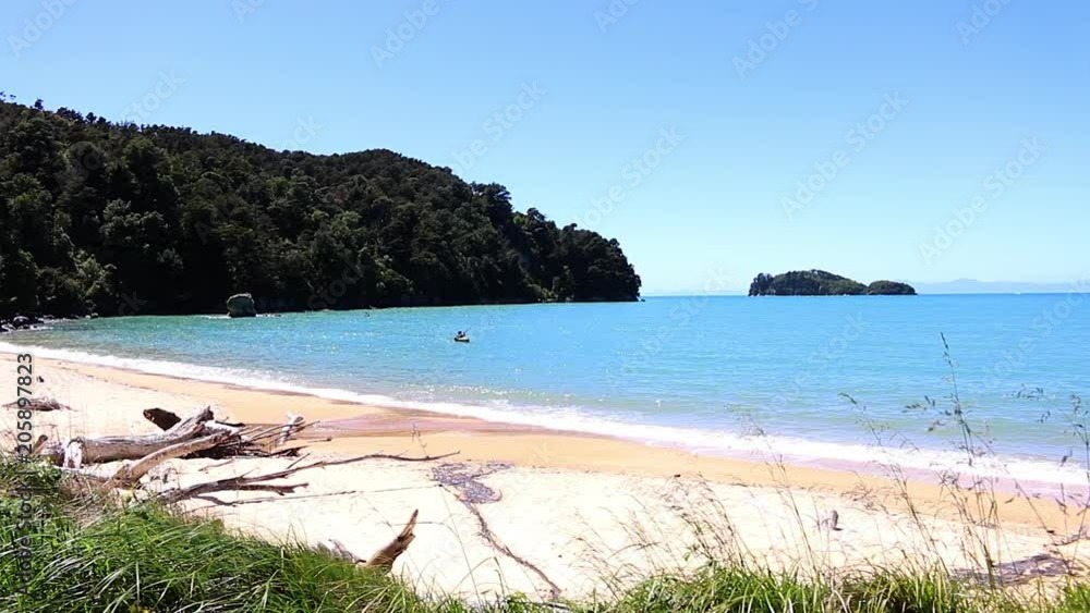 New Zealand Abel Tasman national park beach New Zealand Abel Tasman national park beach