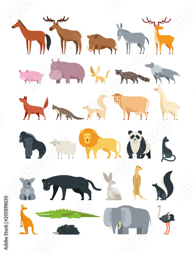 Cute cartoon animals. Forest, savannah and farm animal vector collection isolated on white