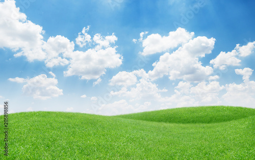 beautiful green grass hills on blue sky background for a nature concept