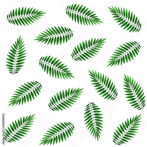 Leaves of a palm tree  seamless pattern. Watercolor illustration.  Seamless pattern with palm fronds on a white background. Suitable for fabric  packaging  cover  clothing and as an element of design.