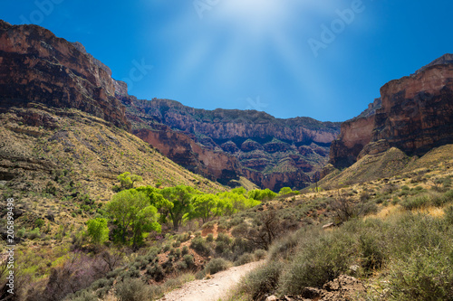 Scenic view of the Grand Canyon on the Bright Angel trail.
