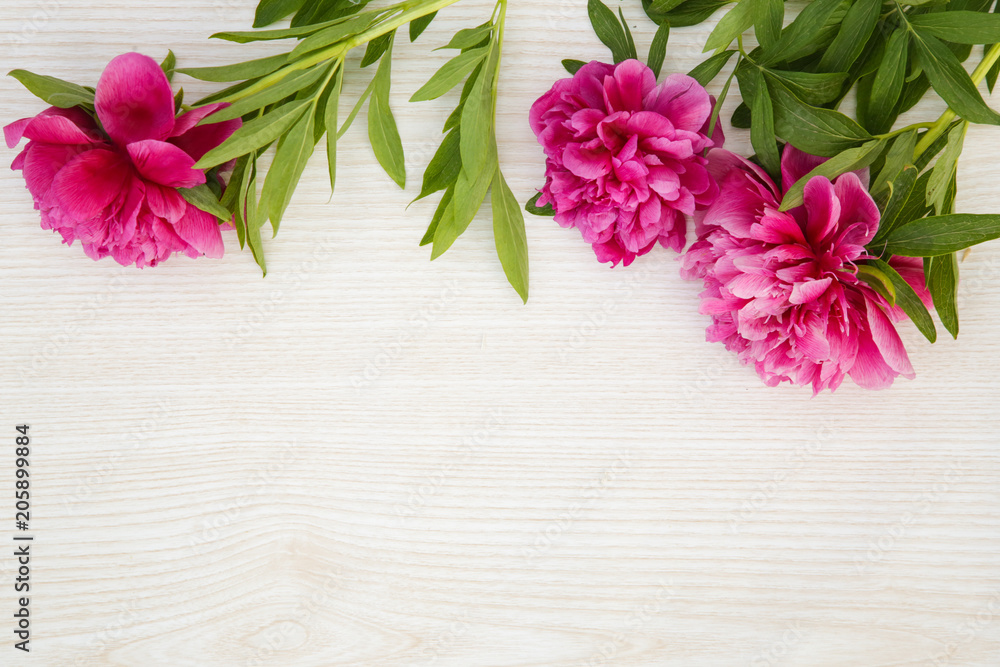 Peonies flowers on wooden background