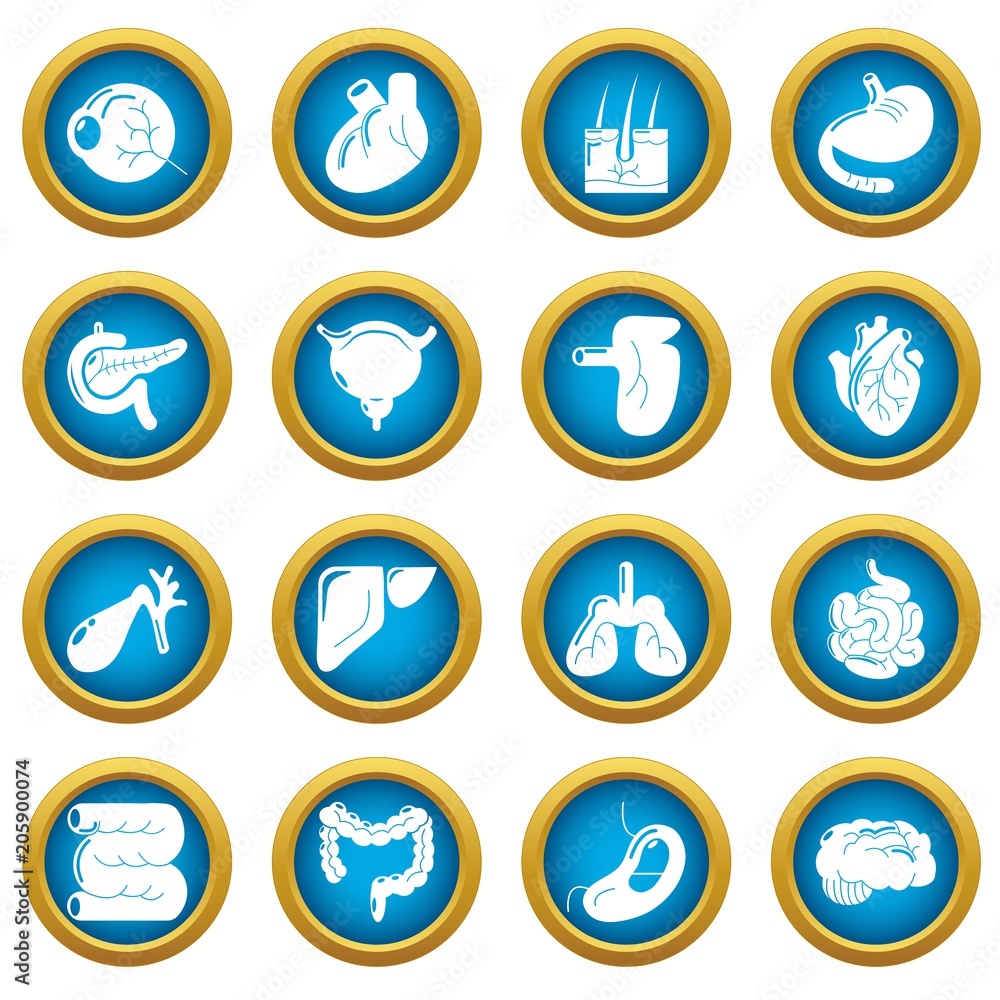 Internal human organs icons set. Simple illustration of 16 internal human organs vector icons for web Internal human organs icons set. Simple illustration of 16 internal human organs vector icons for web