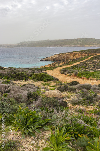 Comino landscape with island vegetation  part of the Blue Lagoon and Gozo in the distance