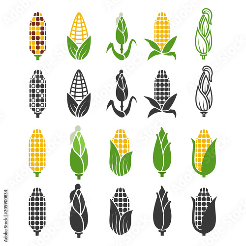 Black and color corn harvest icons isolated on white background