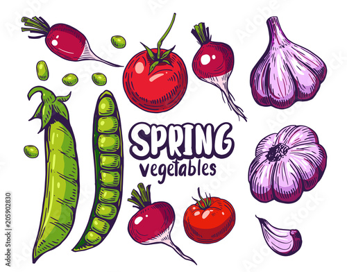 Vegetables. Tomato, peas, radish