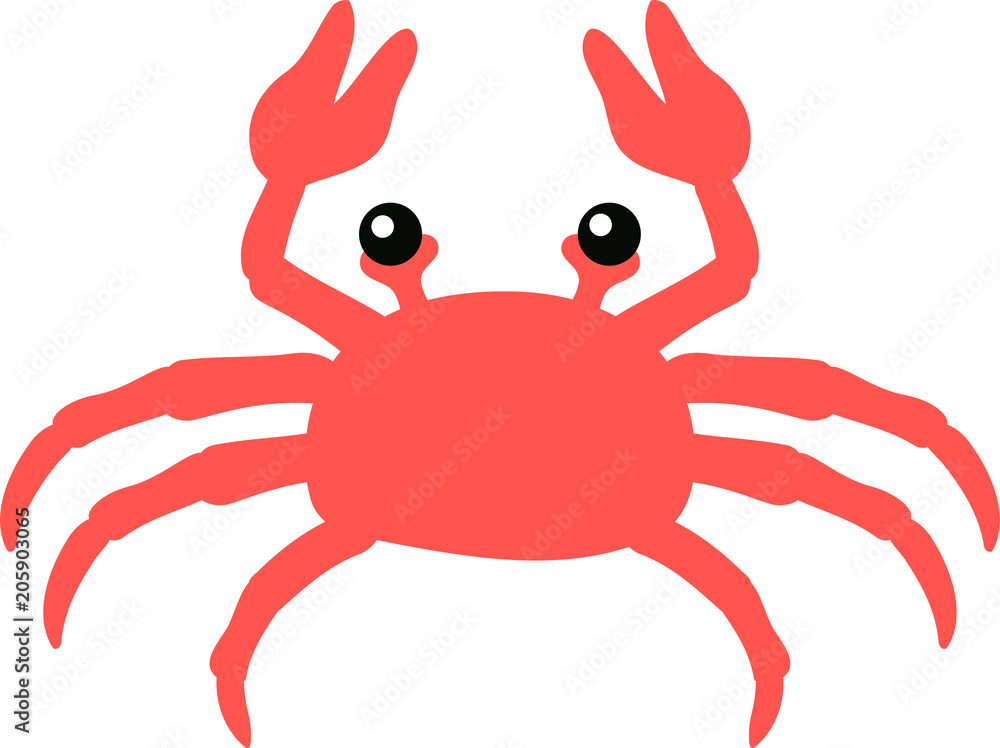 Real crab illustration Real crab illustration
