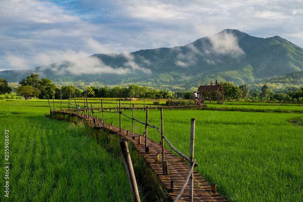Wooden bridge and rice field in Thailand