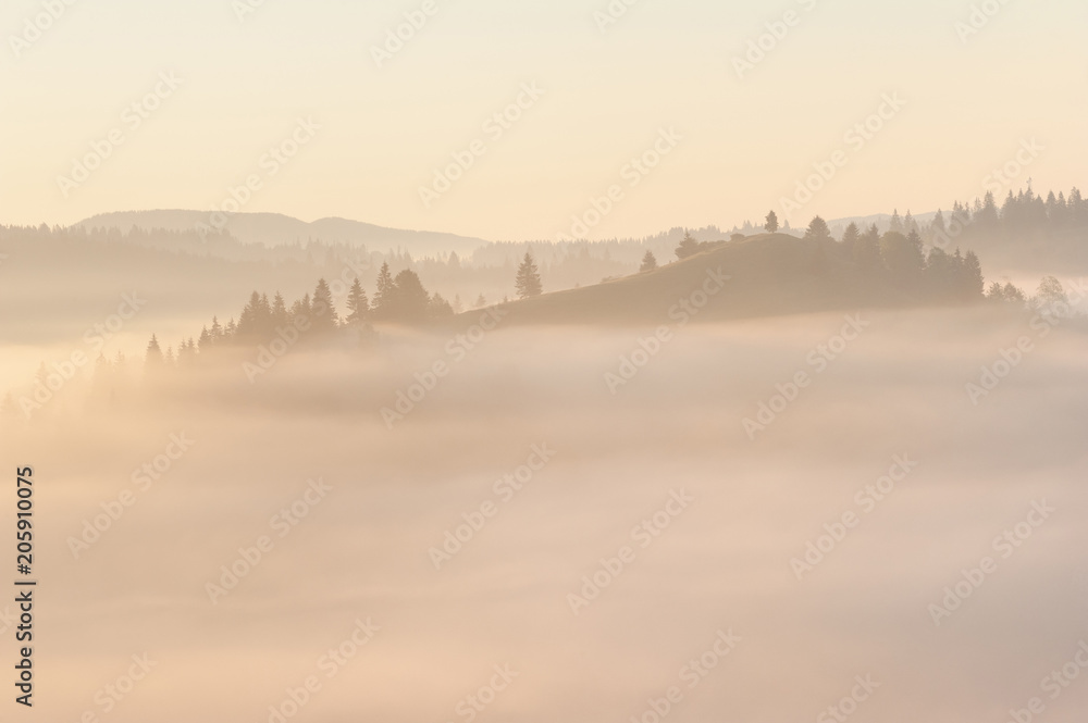 Yellow foggy sunrise in the mountains