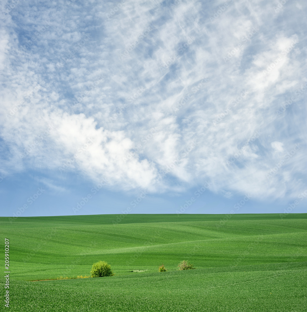 Green field Green field