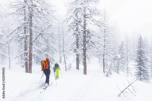 Ski touring in Aosta Valley (Rhemes-Notre-Dame, Rhemes Valley, Aosta province, Aosta Valley, Italy, Europe)