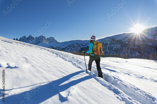 Hiking in snow near San Pellegrino Pass, Soraga di Fassa, Biois Valley, Trento province, Trentino-Alto Adige, Italy, Europe. photo