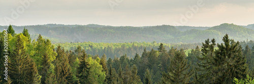 Φωτογραφία Mountain forest panorama of the saxon switzerland