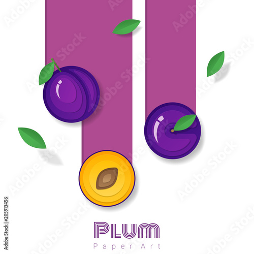 Fresh plum fruit background in paper art style , vector , illustration