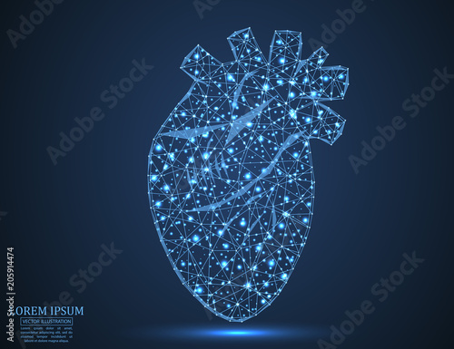 Abstract image of a heart consisting of a polygonal triangle, particles. Starry sky. Low poly design. Vector EPS 10.