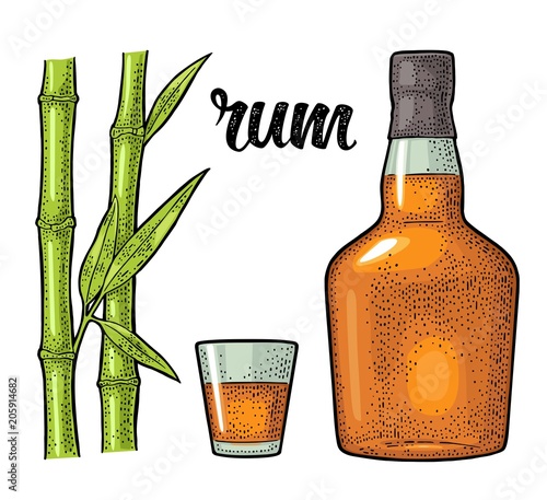 Glass and bottle of rum with sugar cane. Engraving