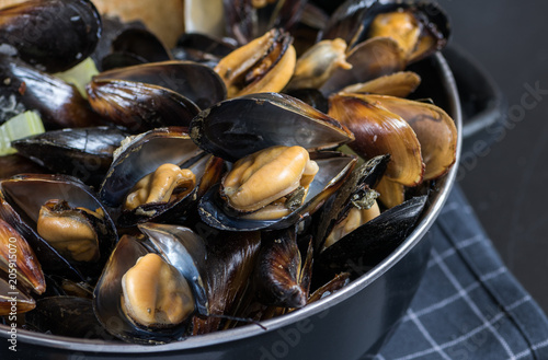 Steamed mussels in white wine sauce