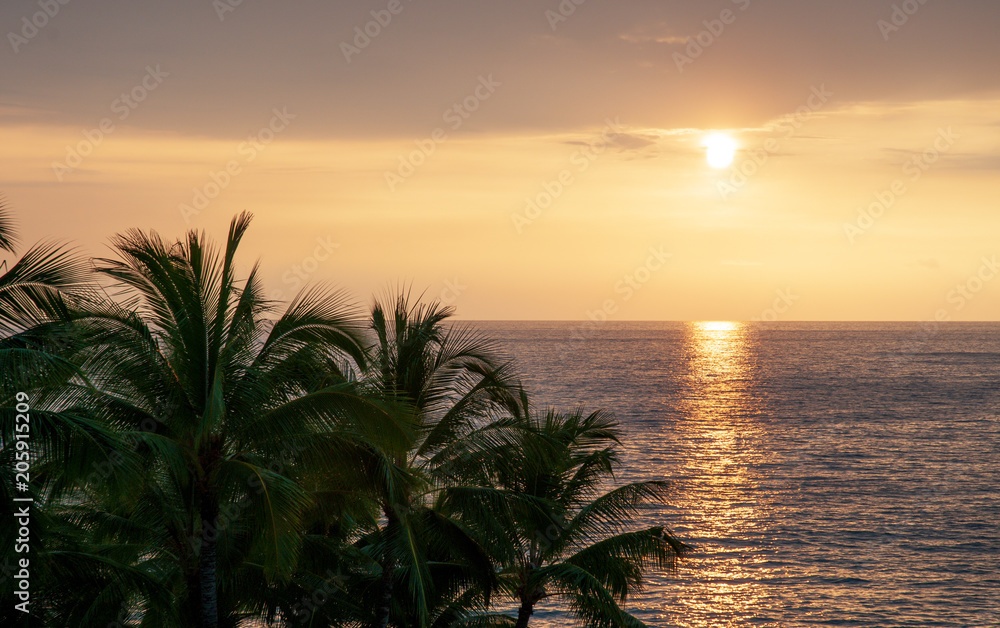 hawaii tropical sunset hawaii tropical sunset