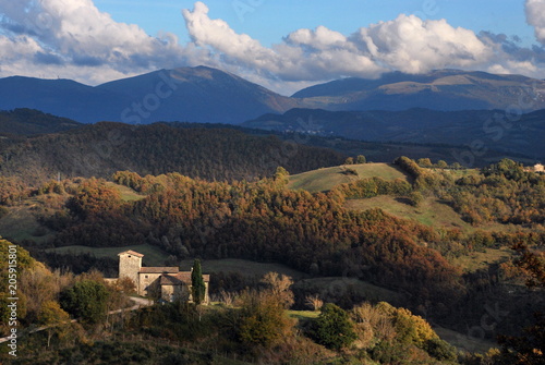 Autumn Scenery