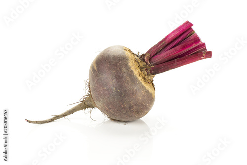 Red beet with cut tops one young bulb isolated on white background.