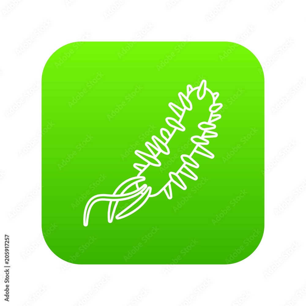 E coli bacteria icon green vector isolated on white background E coli bacteria icon green vector isolated on white background