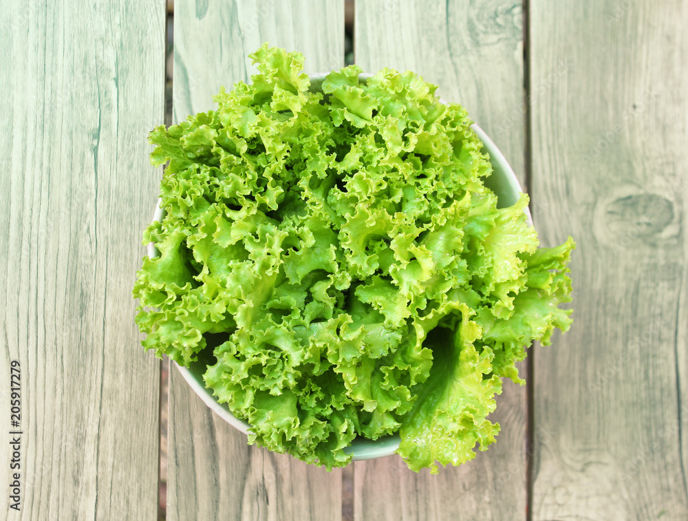 fresh green lettuce in bowl, healthy green salad fresh green lettuce in bowl, healthy green salad