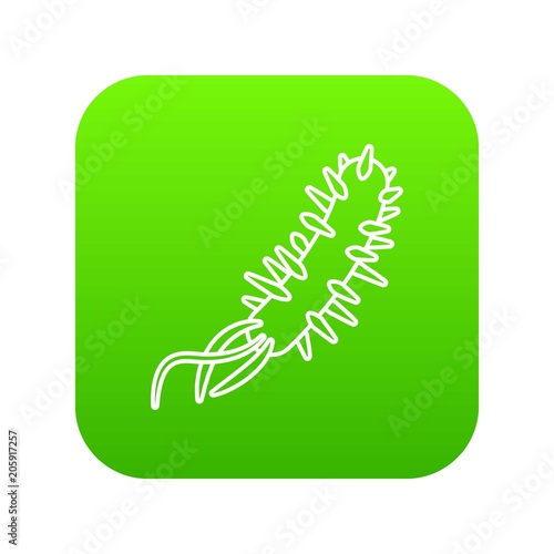 E coli bacteria icon green vector isolated on white background