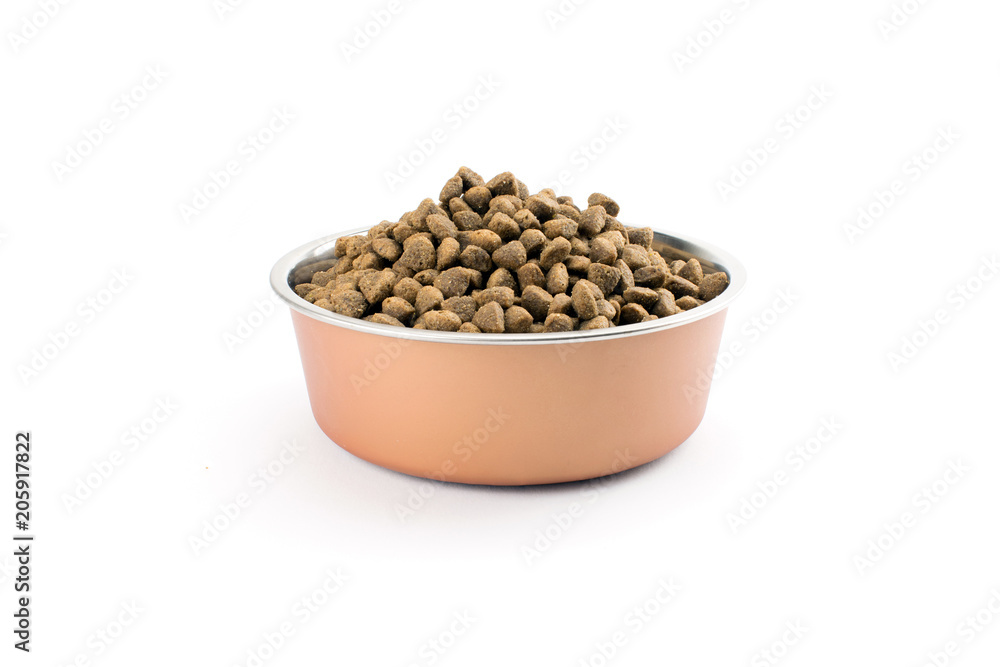 Dry dog treats in bowl isolated on white background