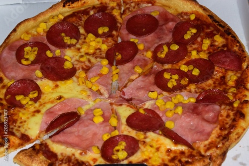 pizza with salami and ham