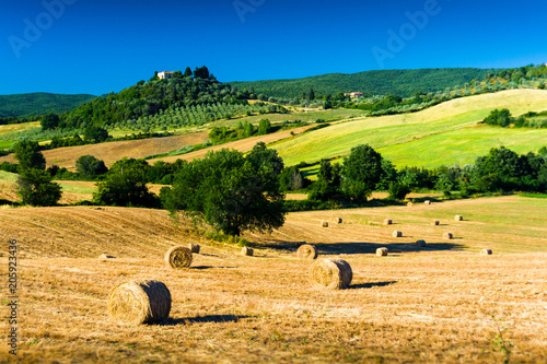 Typical tuscan country panorama near Massa Marittima (GR), Italy