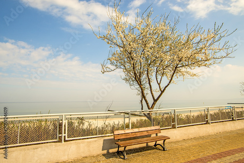 Ustka, Poland with beach promenade in spring photo