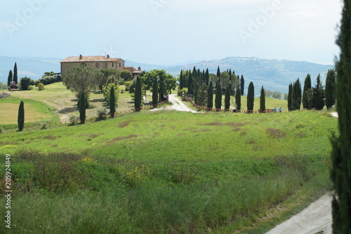 The enchanted Val d'Orcia, Siena, Tuscany, Italy