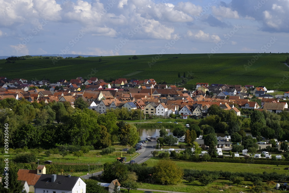 Fototapeta premium Weinort Nordheim am Main inmitten der Weinberge an der Volkacher Mainschleife, Unterfanken, Bayern, Deutschland