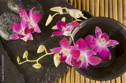 Zen Stones and Orchid flowers floating in harmony