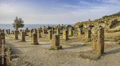 Roman ruins in Tipasa (Tipaza), Algeria photo