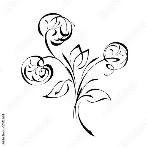 ornament 295. bouquet of stylized dandelion flowers with leaves in black lines on a white background