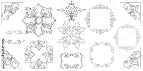 Vector baroque of vintage elements for design. 